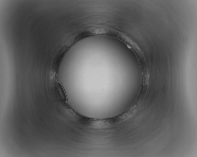 X0000112030521200908171453