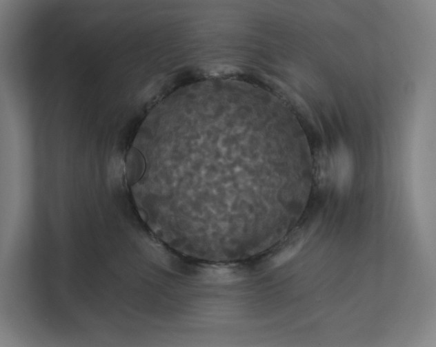 X0000112030523200908171453