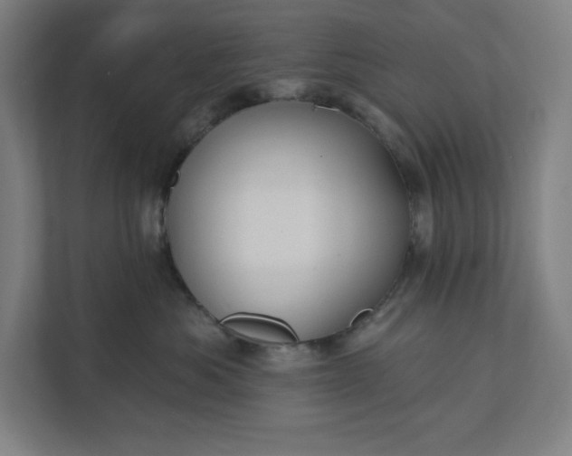 X0000112030525200908171453