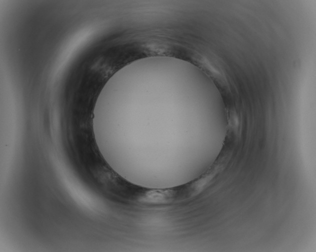 X0000112030526200908171453