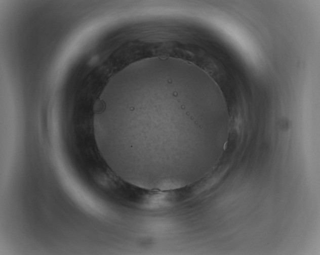 X0000112030527200908171453