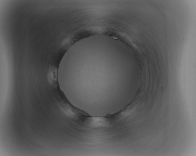 X0000112030528200908171453