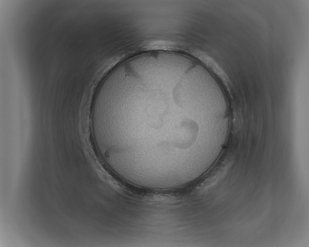 X0000112030529200908171453