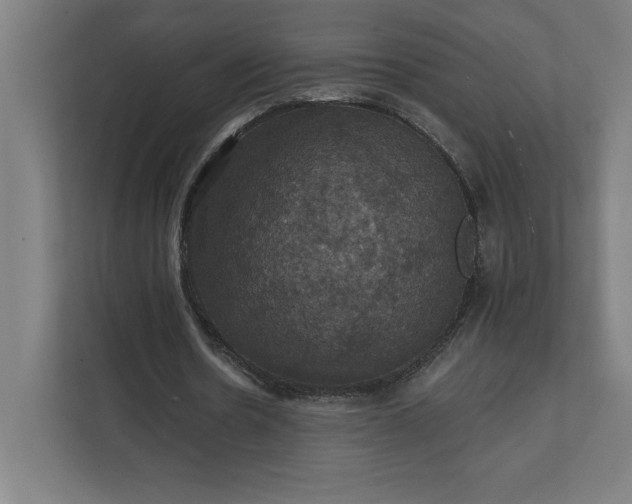 X0000112030530200908171453