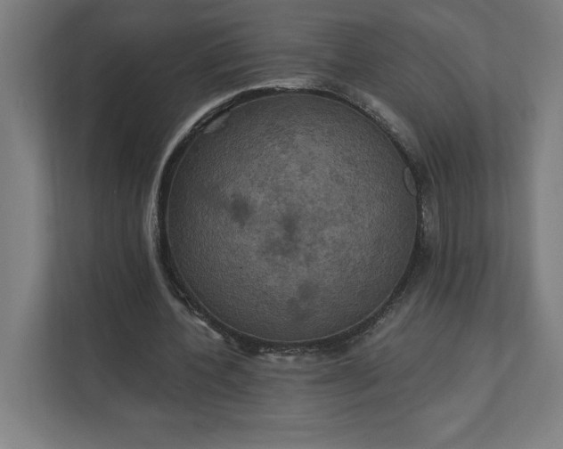 X0000112030532200908171453
