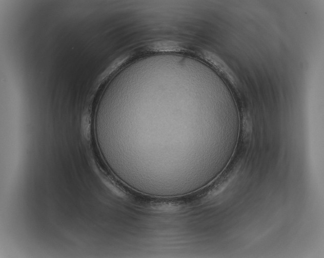 X0000112030533200908171453