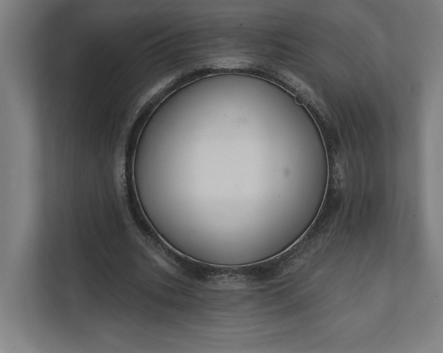 X0000112030535200908171453