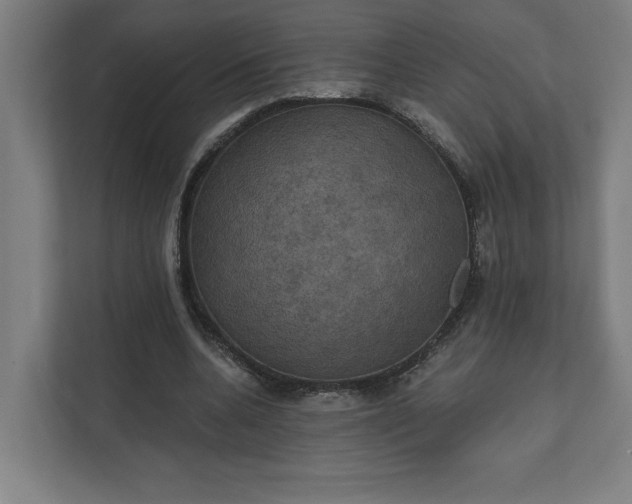 X0000112030536200908171453