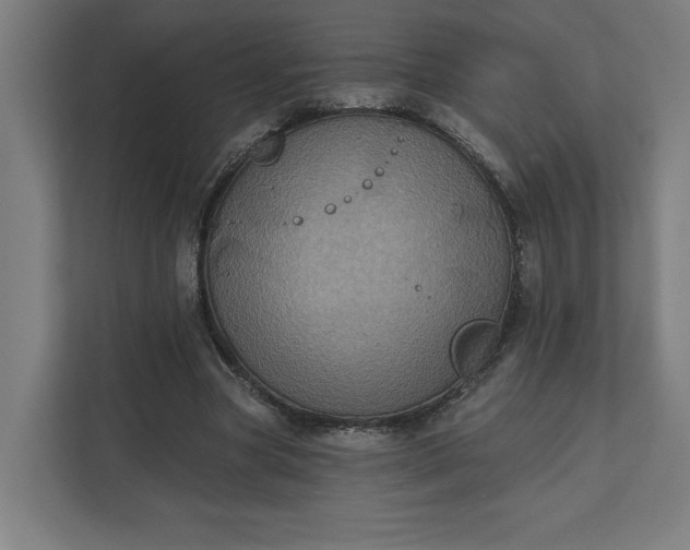 X0000112030537200908171453