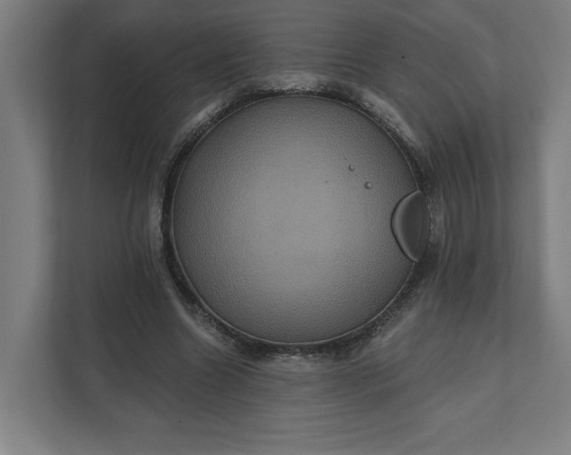 X0000112030538200908171453