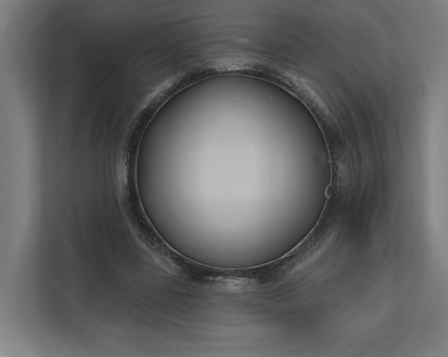 X0000112030539200908171453