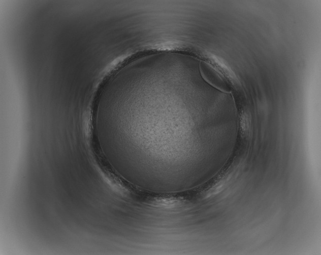X0000112030540200908171453