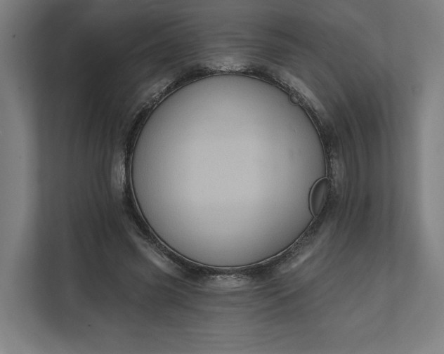 X0000112030541200908171453