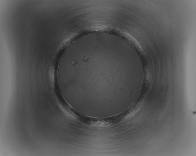 X0000112030542200908171453