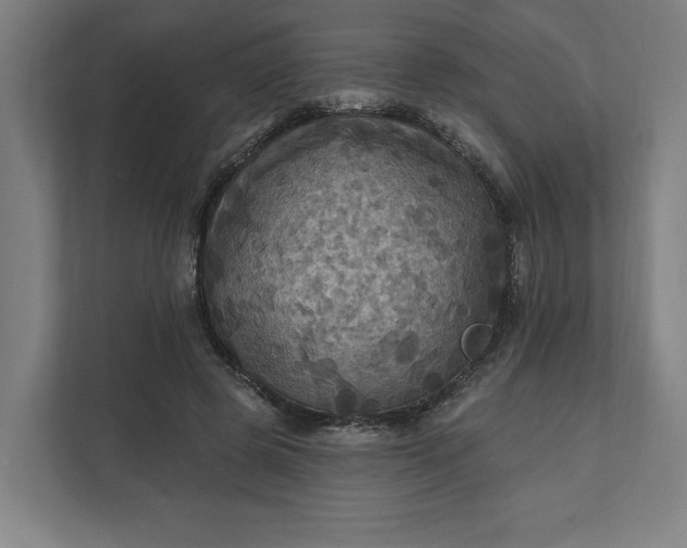 X0000112030545200908171453