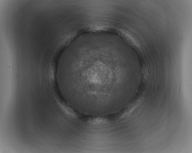 X0000112030546200908171453