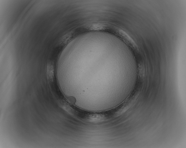 X0000112030549200908171453