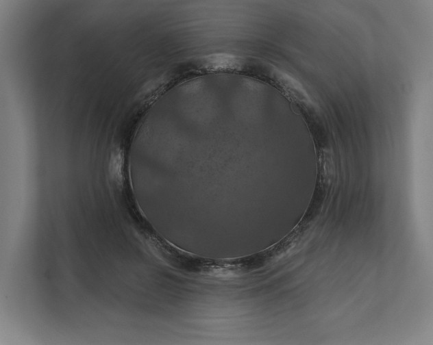 X0000112030550200908171453