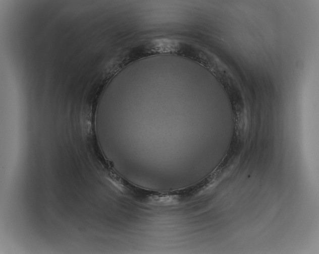 X0000112030553200908171453