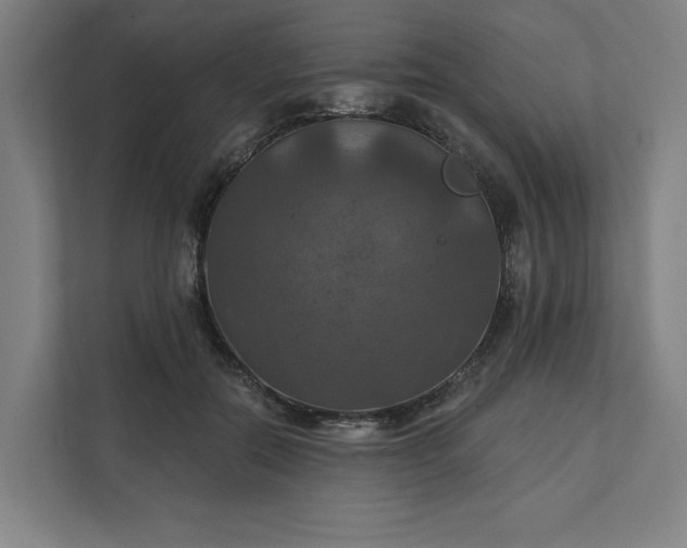 X0000112030554200908171453