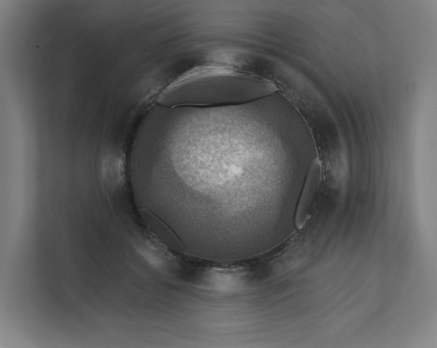 X0000112030556200908171453