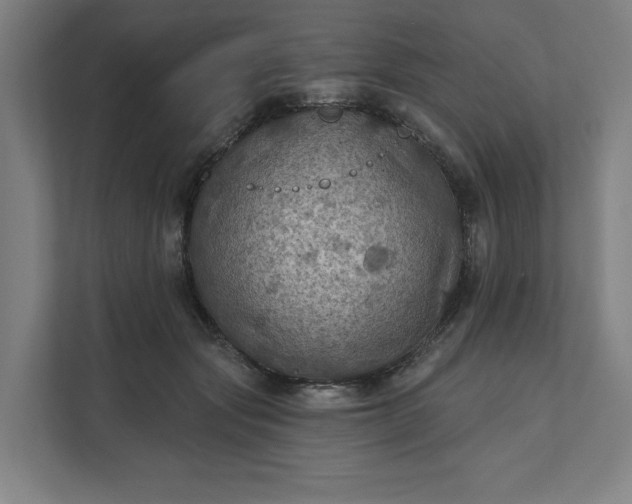 X0000112030557200908171453