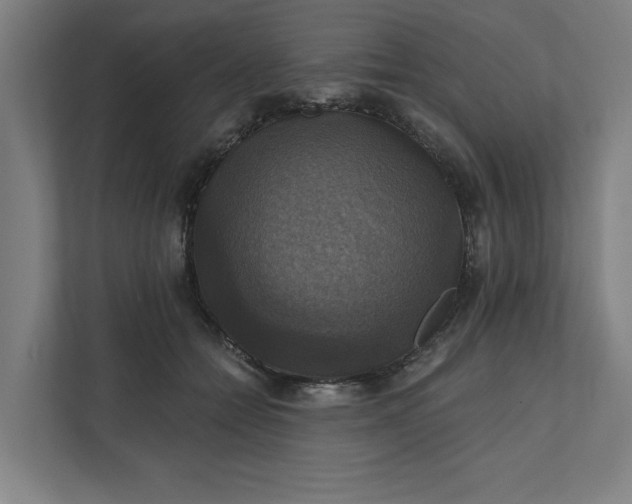 X0000112030558200908171453