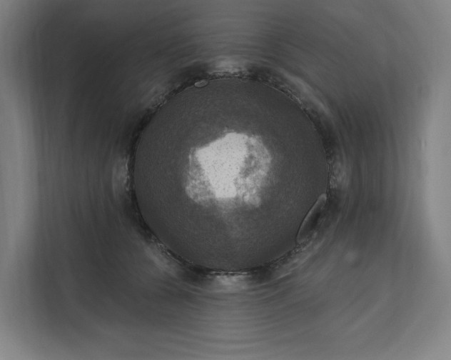 X0000112030560200908171453