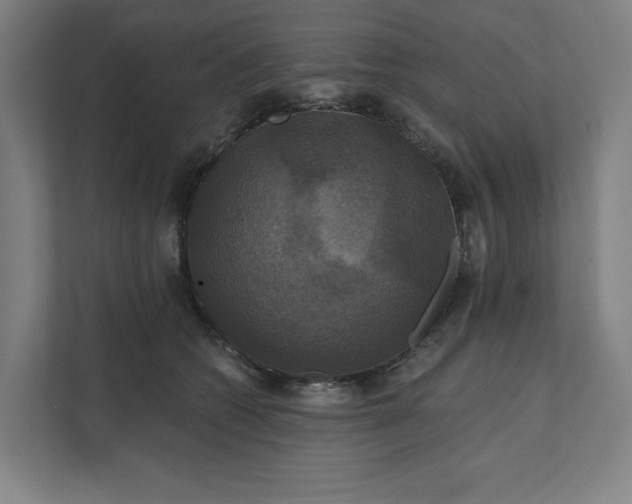 X0000112030562200908171453