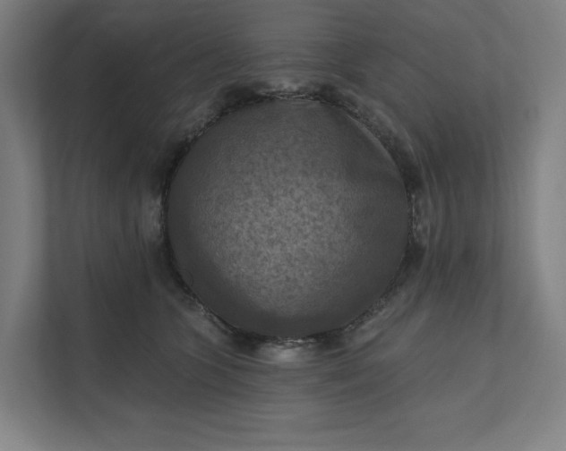 X0000112030563200908171453