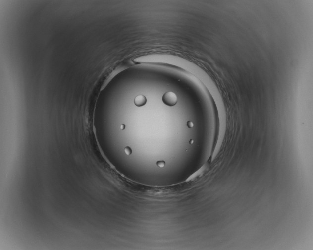 X0000112030564200908171453