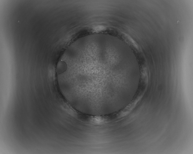 X0000112030565200908171453