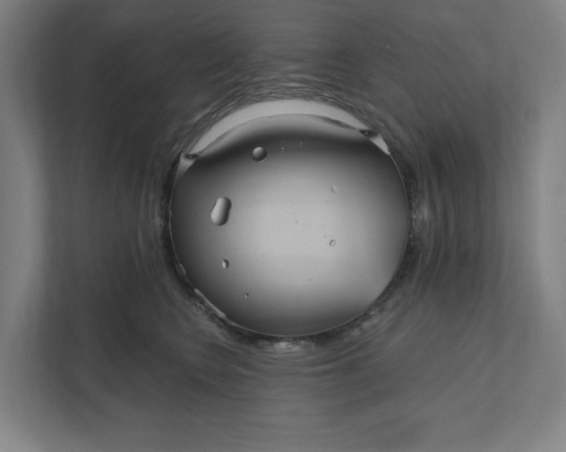 X0000112030566200908171453