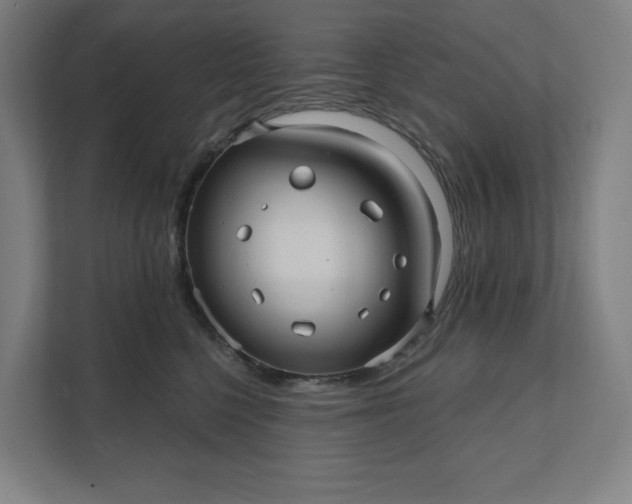 X0000112030568200908171453