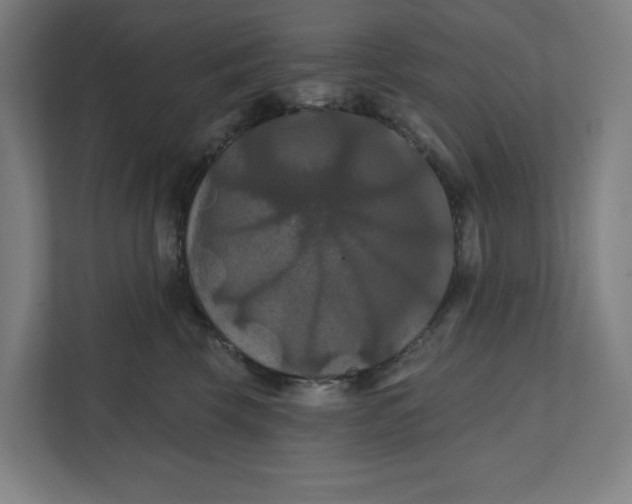 X0000112030569200908171453