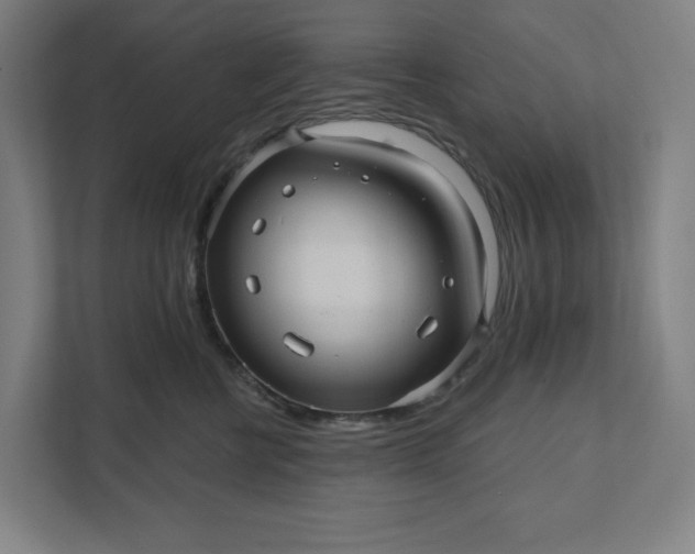 X0000112030570200908171453