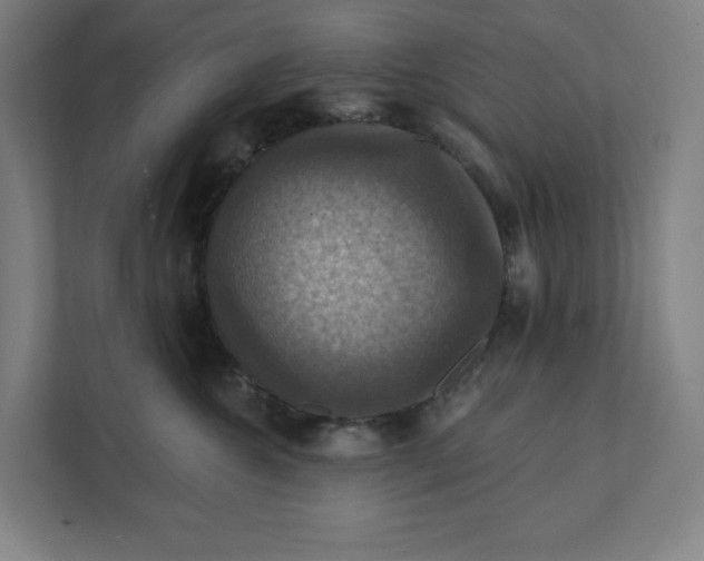 X0000112030572200908171453