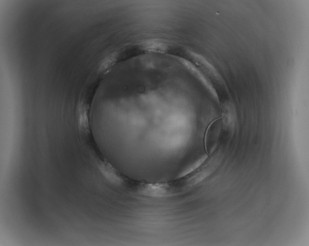 X0000112030573200908171453