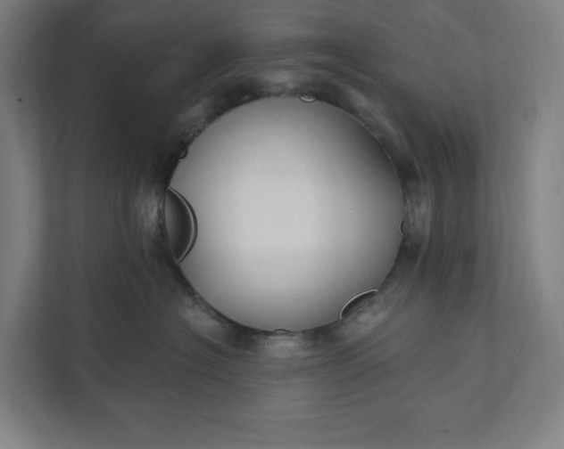 X0000112030574200908171453