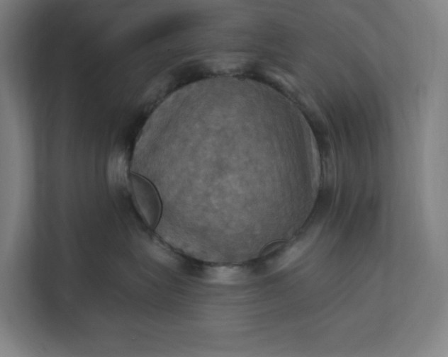 X0000112030575200908171453