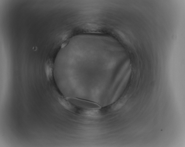 X0000112030576200908171453