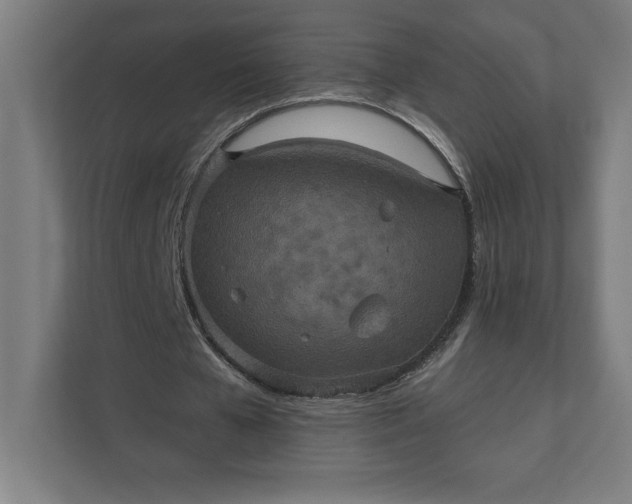 X0000112030577200908171453