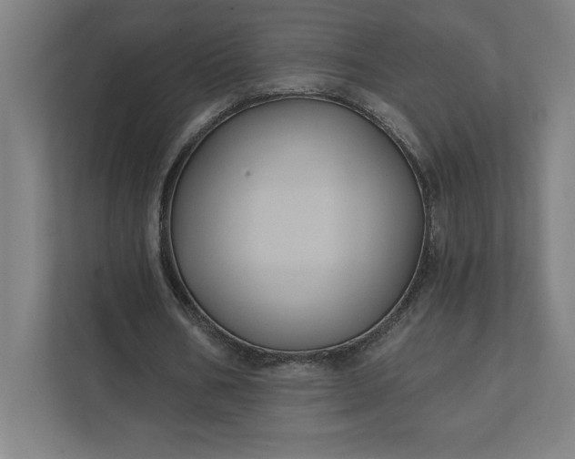 X0000112030578200908171453