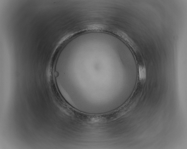 X0000112030579200908171453