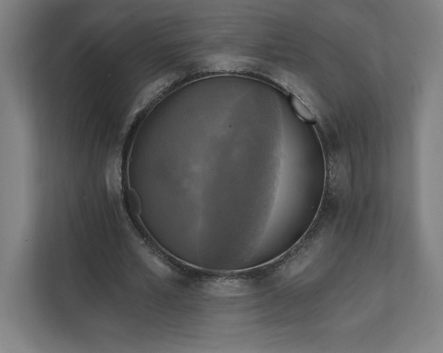 X0000112030581200908171453