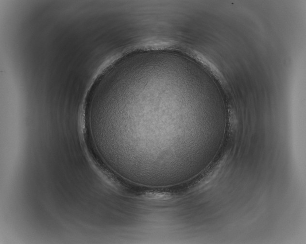 X0000112030582200908171453