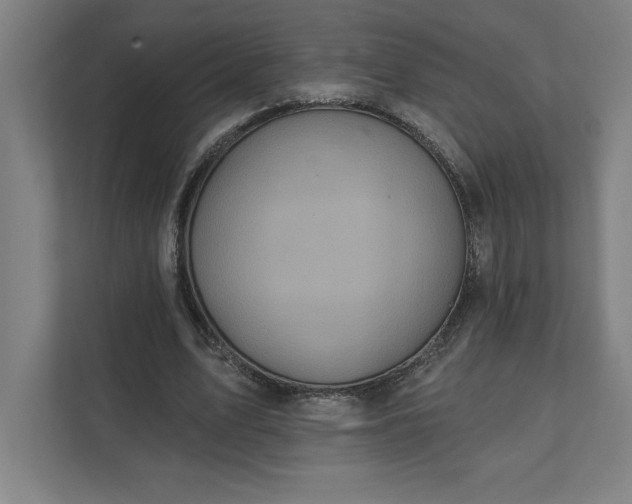 X0000112030583200908171453