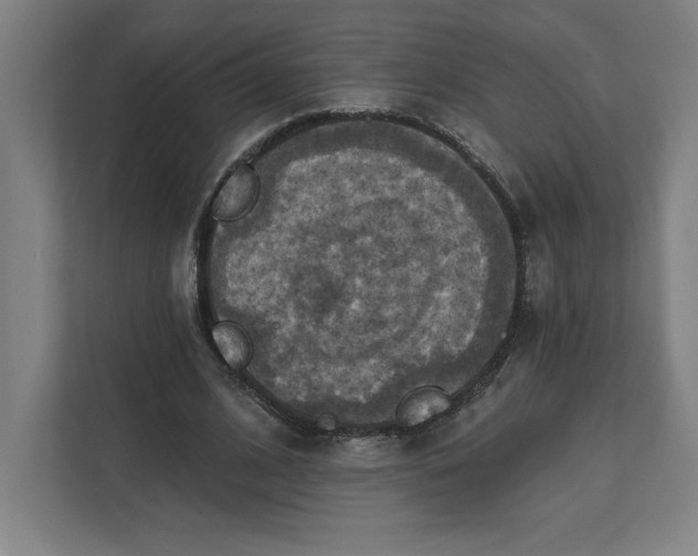 X0000112030584200908171452