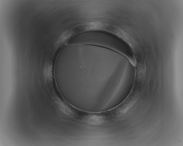 X0000112030585200908171452