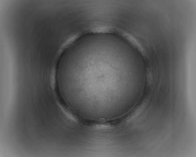 X0000112030586200908171452
